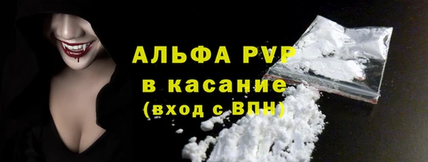 СК Волоколамск