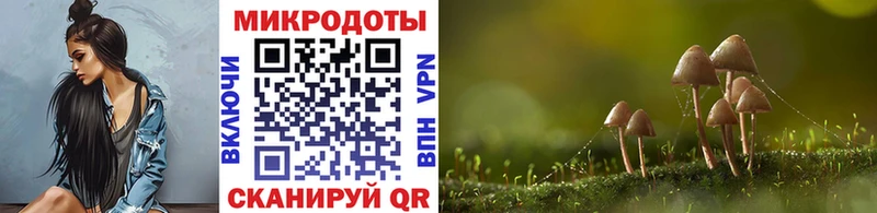 Купить где  Котельнич  Псилоцибиновые грибы мухоморы 